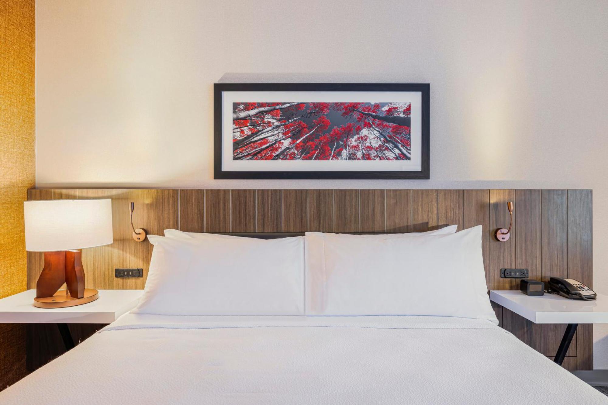 Hilton Garden Inn Colorado Springs Airport Esterno foto